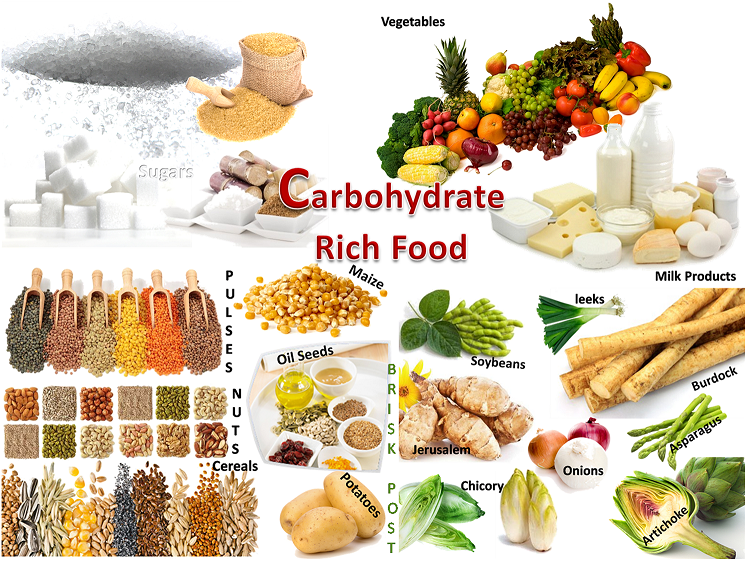 Hypoparathyroidism Low Phosphorus Diet Foods